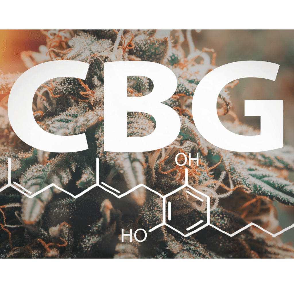 What is CBG Cannabigerol