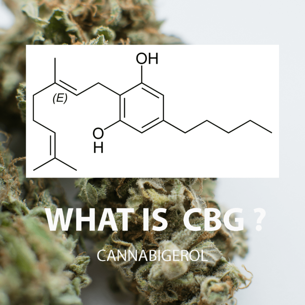 What is CBG 